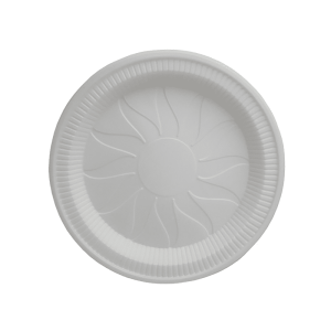 خرید و قیمت پیش دستی یکبار مصرف رنگی